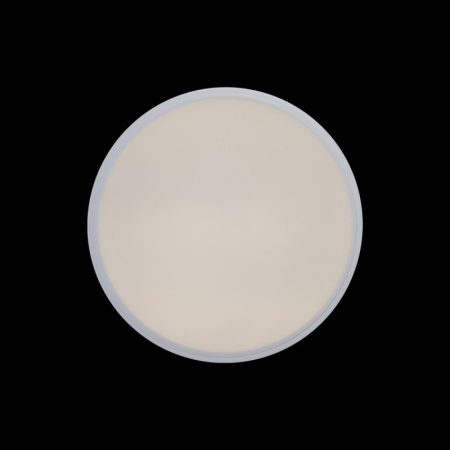 Накладные светильники — Накладной светильник LOFT IT 10002/12 White купить в 