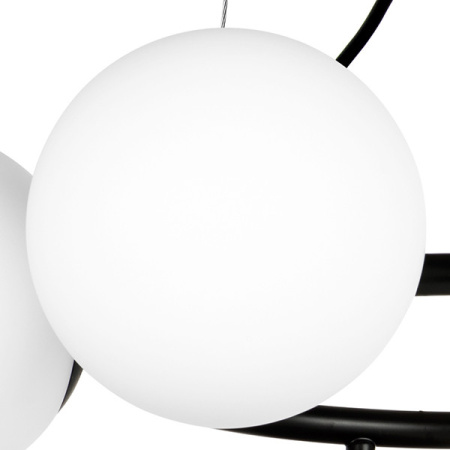 Люстры подвесные — Подвесная люстра Lightstar 815057 купить в  Люстры подвесные — Подвесная люстра Lightstar 815057 купить в