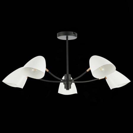 Люстры на штанге — Люстра на штанге Evoluce SLE103602-05 купить в 