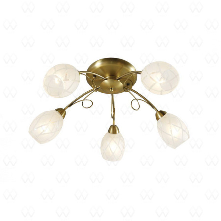 Люстры накладные — Накладная люстра MW-Light 358011505 купить в 