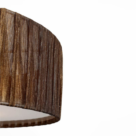 Накладные светильники — Накладной светильник ST-Luce SL357.702.05 купить в 