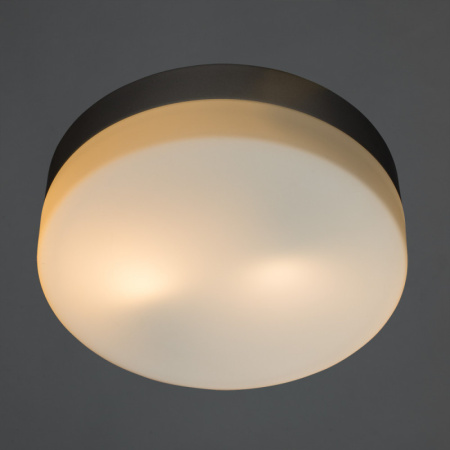 Накладные светильники — Накладной светильник ARTE Lamp A3211PL-2SI купить в  Накладные светильники — Накладной светильник ARTE Lamp A3211PL-2SI купить в