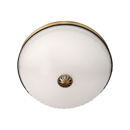 Накладные светильники — Накладной светильник MW-Light 295013402 купить в 