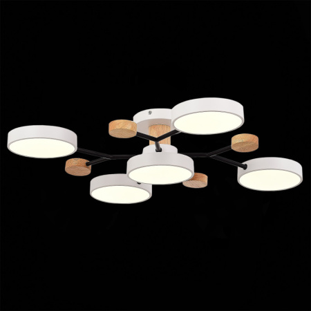 Люстры на штанге — Люстра на штанге Evoluce SLE6006-502-05 купить в 