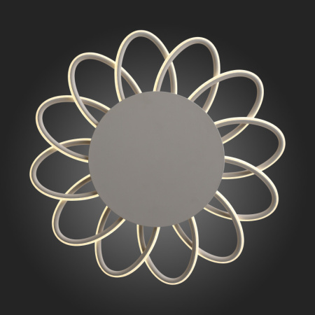 Накладные светильники — Накладной светильник ST-Luce SL828.512.12 купить в 