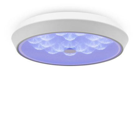 Накладные светильники — Накладной светильник Freya FR10012CL-L24W купить в 