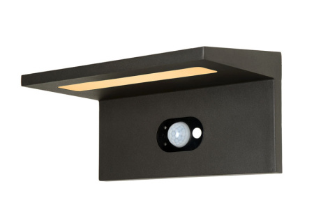 Уличные настенные светильники — Светильник настенный LUCIDE 28860/02/30 купить в 