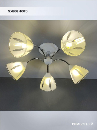 Люстры на штанге — Потолочная люстра Seven Fires Ayna WD3521/5C-WT-CR-WT купить в 