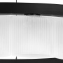 Люстры подвесные — Подвесная люстра Lightstar 812236 купить в  Люстры подвесные — Подвесная люстра Lightstar 812236 купить в
