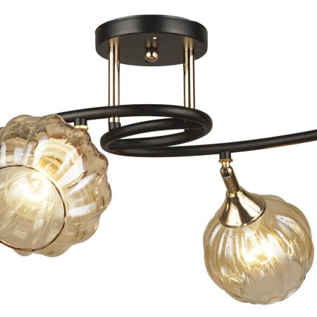 Потолочные люстры — Потолочная люстра Seven Fires Flussio 66589.01.69.06 купить в 