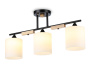 Накладные светильники — Накладной светильник Ambrella Light TR9551 купить в 
