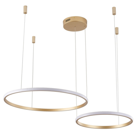 Подвесные светильники — Подвесной светильник Zortes ZRS.33320.63F купить в 