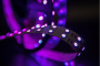 Светодиодные ленты — Лента SWG SWG5120-24-28.8-RGB купить в 
