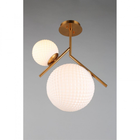 Накладные светильники — Накладной светильник APLOYT APL.300.07.02 купить в 