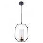 Подвесные светильники — Подвесной светильник ARTE Lamp A7004SP-1BK купить в  Подвесные светильники — Подвесной светильник ARTE Lamp A7004SP-1BK купить в