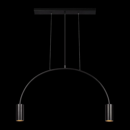 Подвесные светильники — Подвесной светильник LOFT IT 5044-2 купить в 