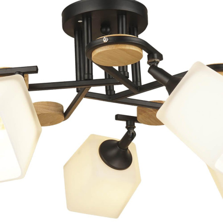 Потолочные люстры — Потолочная люстра Seven Fires Ivetta 66582.01.14.05 купить в  Потолочные люстры — Потолочная люстра Seven Fires Ivetta 66582.01.14.05 купить в