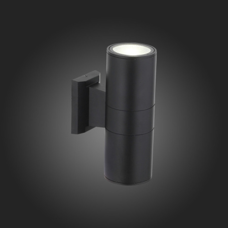 Уличные настенные светильники — Светильник настенный ST-Luce SL074.401.02 купить в 