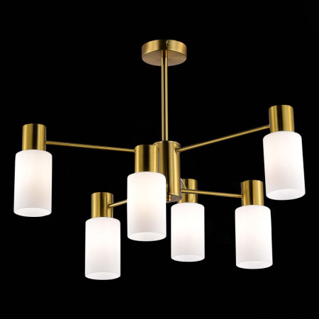 Люстры на штанге — Люстра на штанге Evoluce SLE1139-302-06 купить в  Люстры на штанге — Люстра на штанге Evoluce SLE1139-302-06 купить в