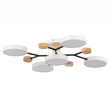 Люстры на штанге — Люстра на штанге Evoluce SLE6006-502-05 купить в 