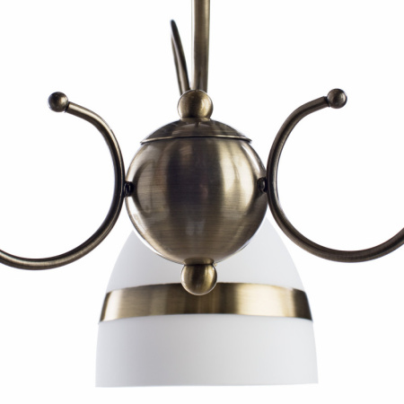 Люстры накладные — Накладная люстра ARTE Lamp A6192PL-3AB купить в  Люстры накладные — Накладная люстра ARTE Lamp A6192PL-3AB купить в