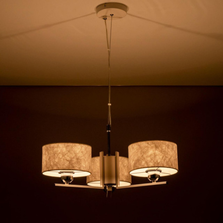 Люстры подвесные — Подвесная люстра Citilux CL469130 купить в 