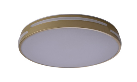 Накладные светильники — Накладной светильник Zortes ZRS.90610.40 купить в 