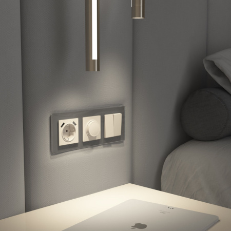 Диммеры — Диммеры Werkel W1142062 купить в 