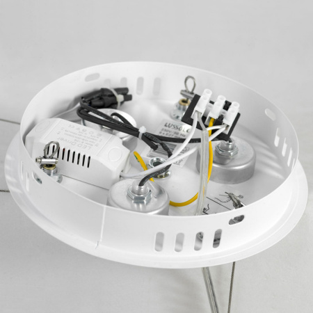 Люстры подвесные — Подвесная люстра Lussole LSP-8602 купить в 