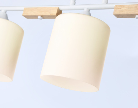 Накладные светильники — Накладной светильник Ambrella Light TR9546 купить в 