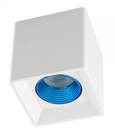 Накладные точечные светильники — Накладной светильник Denkirs DK3080-WH+CY купить в  Накладные точечные светильники — Накладной светильник Denkirs DK3080-WH+CY купить в