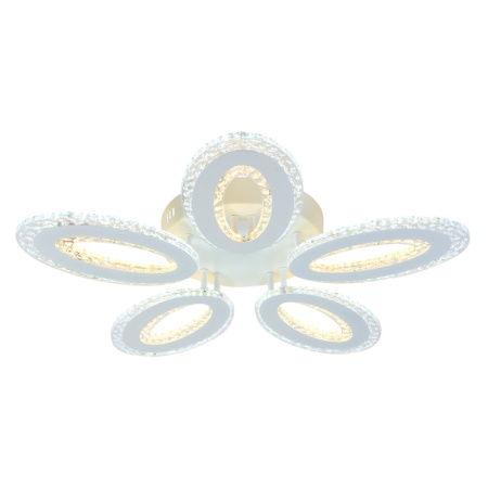 Люстры накладные — Накладная люстра Escada 10211/5LED купить в  Люстры накладные — Накладная люстра Escada 10211/5LED купить в