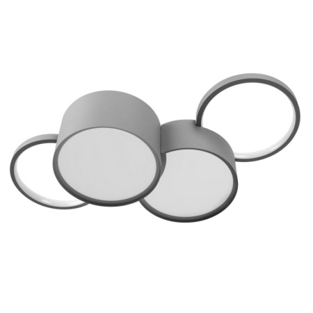 Накладные светильники — Накладной светильник LOFT IT 10317/4 Grey купить в 
