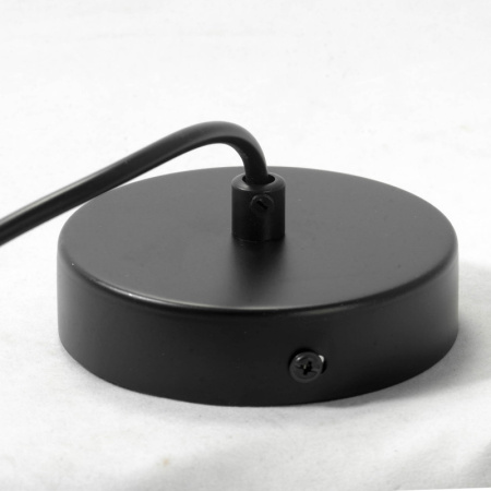 Подвесные светильники — Подвесной светильник Lussole LSP-0178 купить в 