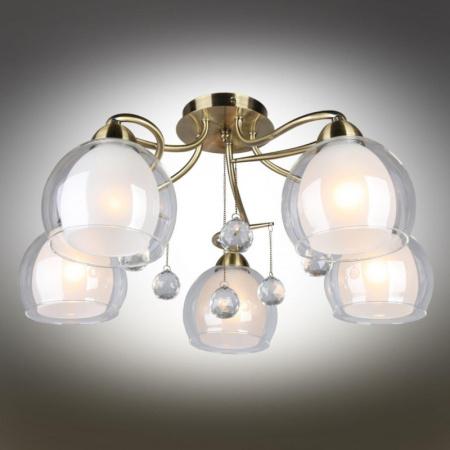 Люстры накладные — Накладная люстра Omnilux OML-54717-05 купить в 