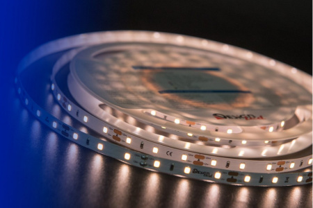 Светодиодные ленты — Лента DesignLed DSG260-12-WW-33 купить в 