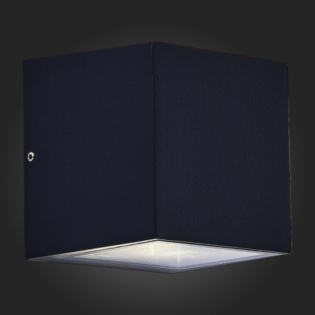 Уличные настенные светильники — Светильник настенный ST-Luce SL9002.401.01 купить в 