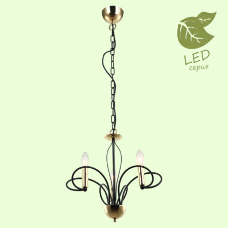 Люстры подвесные — Подвесная люстра Lussole GRLSP-8193 купить в 