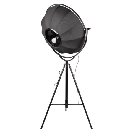 Торшеры и напольные светильники — Торшер LOFT IT 10301/M купить в  Торшеры и напольные светильники — Торшер LOFT IT 10301/M купить в