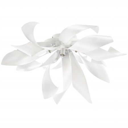 Люстры накладные — Накладная люстра Lightstar 754166 купить в 