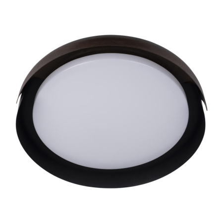 Накладные светильники — Накладной светильник LOFT IT 10198 Black купить в 