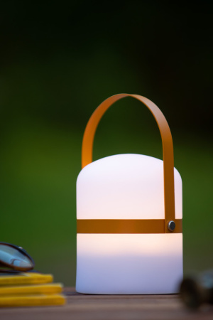 Настольные лампы — Настольная лампа LUCIDE 06802/01/43 купить в 