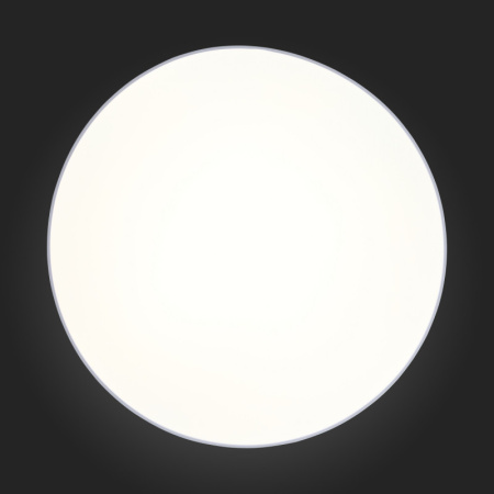 Накладные светильники — Накладной светильник ST-Luce SL417.512.01 купить в 