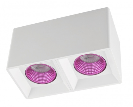 Накладные точечные светильники — Накладной светильник Denkirs DK3085-WH+PI купить в 