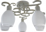Люстры накладные — Накладная люстра TOPLIGHT TL7360X-05WG купить в  Люстры накладные — Накладная люстра TOPLIGHT TL7360X-05WG купить в