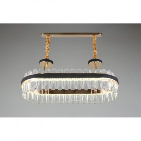 Люстры подвесные — Подвесная люстра APLOYT APL.027.03.81 купить в 