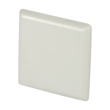 Заглушки для профилей — Заглушка профиля Maytoni Technical ALM009EC купить в 