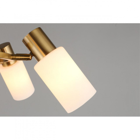 Люстры подвесные — Подвесная люстра Omnilux OML-69103-06 купить в 