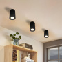 Накладные точечные светильники — Накладной светильник LOFT IT 10220 Black 3000K купить в 