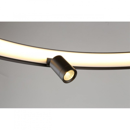 Люстры подвесные — Подвесная люстра APLOYT APL.041.13.50 купить в 